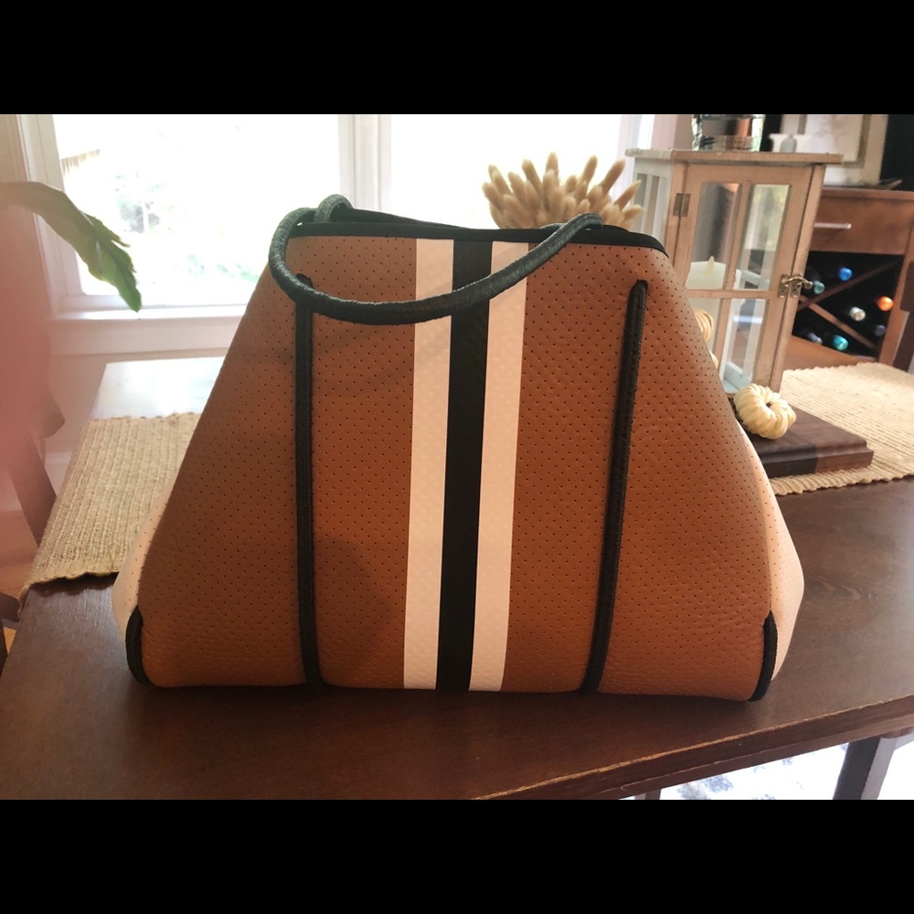 Haute Shores Purse
